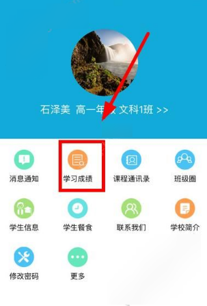 崔健 音乐节