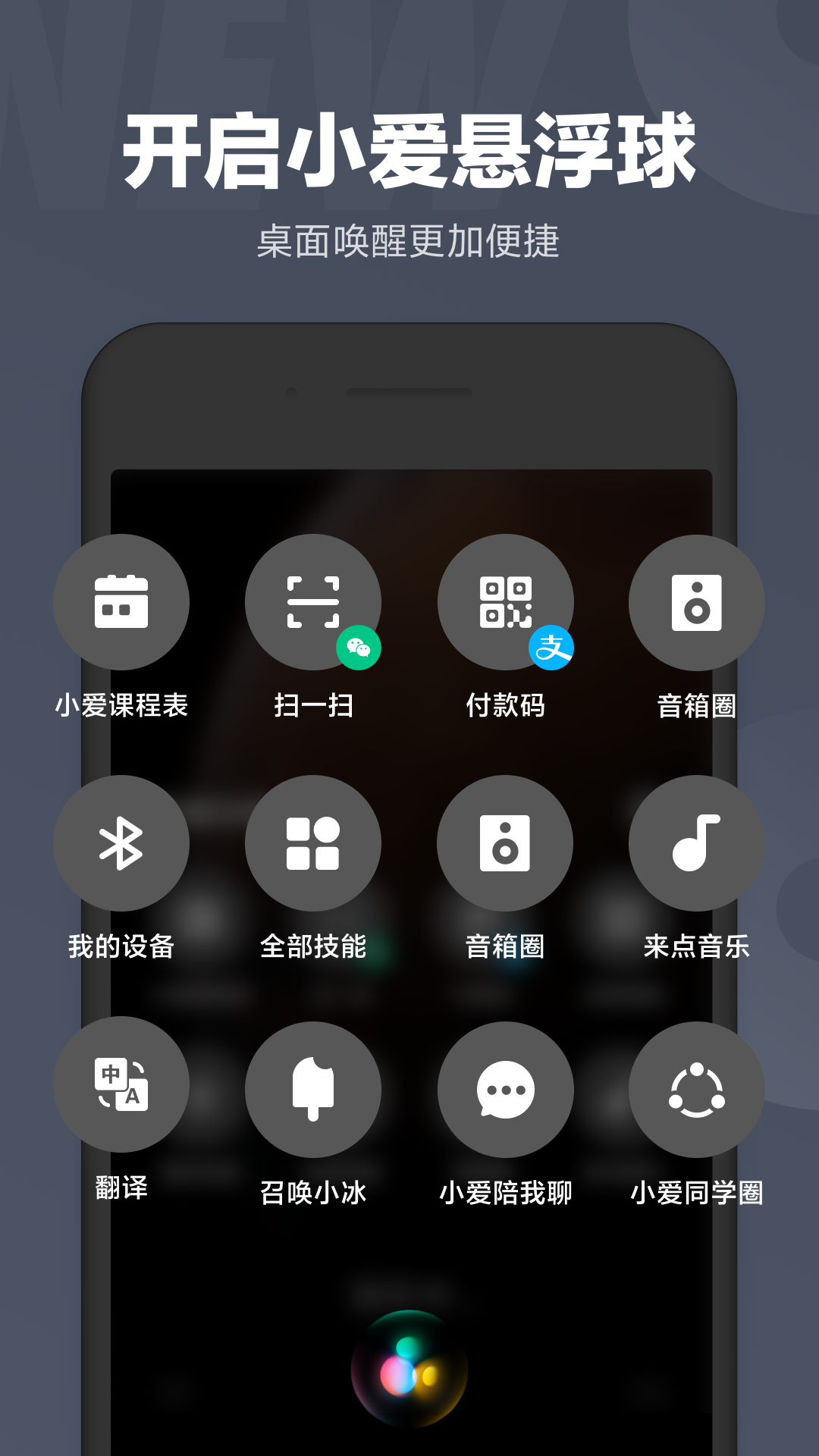 碧然德 孙颖莎